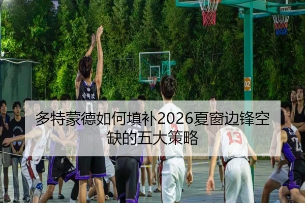多特蒙德如何填补2026夏窗边锋空缺的五大策略